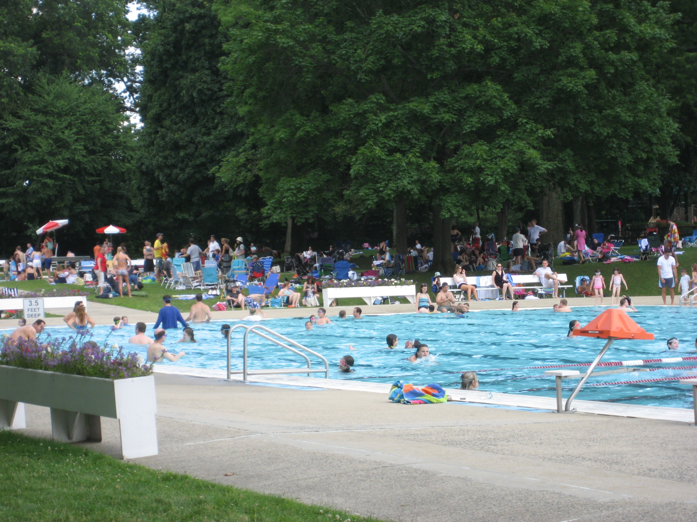 Image result for Scarsdale Municipal Pool